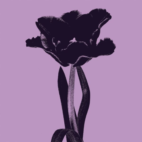 Guilty (ft. Catching Cairo) / Kanjiru