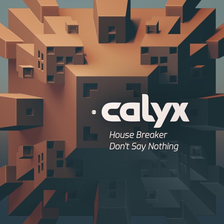 House Breaker / Don’t Say Nothing